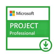 Microsoft Project. ����