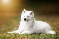 ���������� ������.