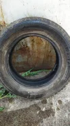 Bridgestone Winter Radial WT-17. ������, ����������, �/�, ����� 20 % ����