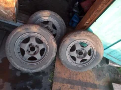 Alba. x13" ����