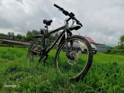 GT ����