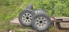 �����. x15" ����