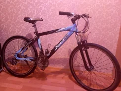 XDS ����