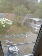 ������ ��������������� ��� � ��� �������� � ������������ ������. �-� ������� ����, ��� 60��&sup2;, ������� 12����., ���, ����: �������, �������������...