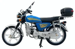 Regulmoto Alpha RM-1. 110����. ��., ��������, ��� ���, ��� �������. ��� ����� �� ���������� ����