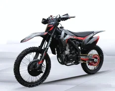 Xinguizun. 300����. ��., ��������, ��� ���, ��� ������� ����