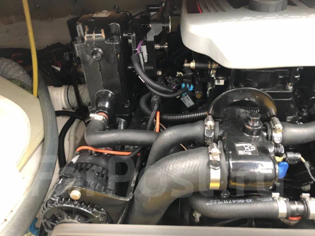 Cobra. 2012 ���, ����� 6,5��., ��������� ������������, 220��.�., ������ ����