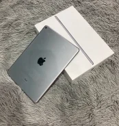 Apple iPad Air 2 ����