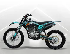 Xinguizun. 250����. ��., ��������, ��� ���, ��� ������� ����