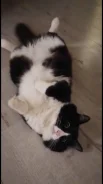 �����. ����