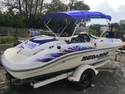 BRP Sea-Doo. 2004 ���, ��������� ������������, ������ ����