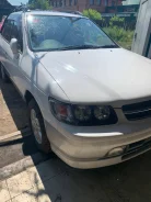 Nissan R'nessa. N30, SR20 ����