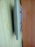 Panstar. LCD (��) ����