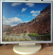 NEC. 17" ����