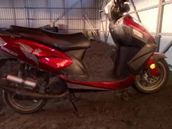 Racer Stells 150. 150����. ��., ��������, ���, � �������� ����
