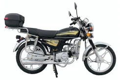Regulmoto Alpha RM-1. 110����. ��., ��������, ��� ���, ��� �������. ��� ����� �� ������� ����