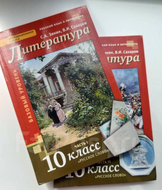 Литература 10 класс зинин