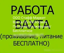 Подработка Новый Уренгой 14 Лет