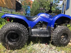 Yamaha Grizzly 125. ��������, ���� ���\���, � �������� ����