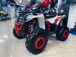 Wels Thunder 125 Evo. ��������, ���� ���\���, ��� ������� ����