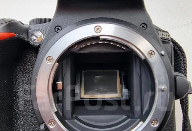 Nikon D5600. 20 � ����� �� ����