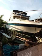Bayliner. 1989 ���, ����� 7,8��., ��������� ������������, 280��.�., ������ ����