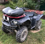 Kawasaki Brute Force 650. ��������, ���� ���\���, � �������� ����