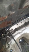 Honda Inspire ����