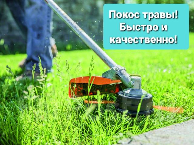 Покос травы на участке, спил деревьев и кустарника во Владивостоке