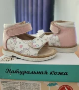 ���������. 19.5 ����