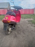 Yamaha Mint. 49����. ��., ��������, ��� ���, � �������� ����