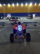 Irbis ATV250S. ��������, ���� ���\���, � �������� ����
