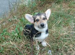 �����-�����-�������.