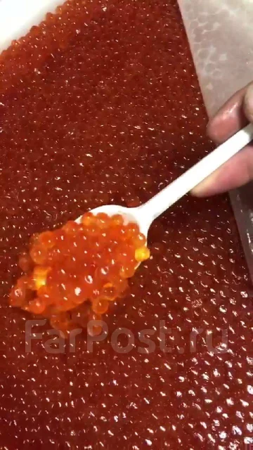 ���� �������. ����