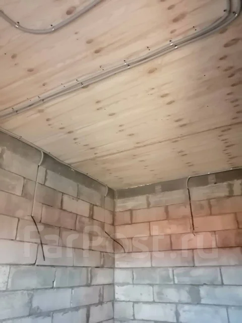 ���������. ����