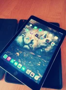 Apple iPad Air 2 ����
