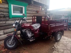 Racer Muravei RC200ZH. 200����. ��., ��������, ���, � �������� ����