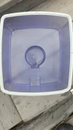 �����. ����