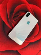 Apple iPhone X. �/�, �����, 3G, 4G LTE, ����������, NFC ����