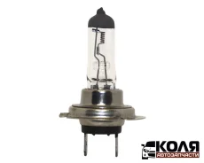 ����� ����������� H7 PX26d 24V 100W (Changuang) 256 64210 ����