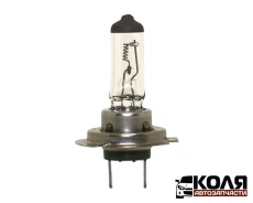 ����� ����������� H7 PX26d 24V 100W (Eagleye) 255 64210 ����