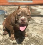 ������������ �����. ��� ����� �� ���������