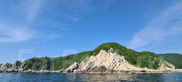 ������ ������. 5 �������, 85���/� ����