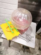 �����. ����