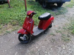 Suzuki Gemma. 49����. ��., ��������, ��� ���, ������ �� �� ����