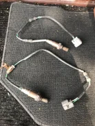 ����������� ������ �� Honda Civic EU3 36531-pld-003 ����
