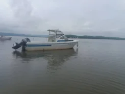 Yamaha F-23. 1996 ���, ����� 7��., ��������� ���������, 175��.�., ������ ����