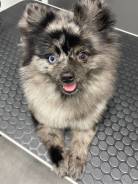 �������.