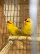 �������.