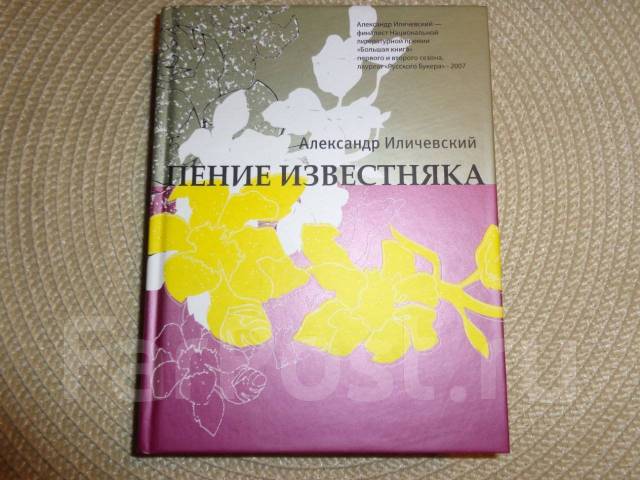 Иличевский чертеж ньютона